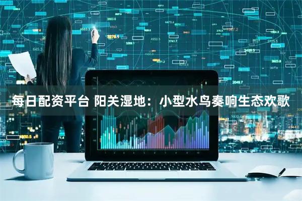 每日配资平台 阳关湿地：小型水鸟奏响生态欢歌